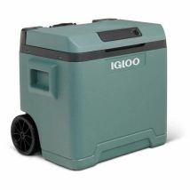 Glacière Igloo71 Abeto Plastique 42 L
