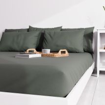 Drap Housse Uni 160x200 Cm Zzz Kaki