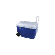 Glacière Rigide 46 Litres 60,5 X 35 ,5 X 41,5 Cm - Cao Camping