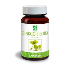 Ginkgo Biloba Bio - Performances Cérébrales - Flacon De 60 Gélules