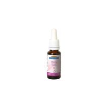 Elixir 8 Chicoree Bio - 20 Ml - Biofloral