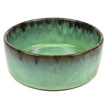 D&d Chien Gamelle Trendy Jasper Vert - 700 Ml