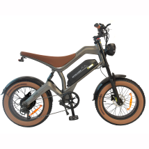Dyu M20 55km/h Vitesse Maximale 48v18.2ah Batterie 1000w Moteur 20 Pouces Graisse Pneus E-mountian Vélo