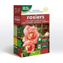 Bsi - Engrais Bio Rosiers - Pour Toutes Les Sorte De Roses - Floraison Éclatante - Action Longue Durée - 4kg