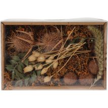 Home & Styling — Mix De Fleurs Séchées En Boîte « Nature ».
