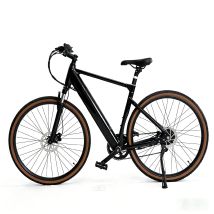 Vélo Électrique Yangor H700, Capteur De Couple 36v 10,4ah 7 Vitesses, Noir