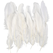 Plume D'oie 15 Cm - Blanc - 70 Pcs