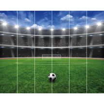 Papier Peint Mural Walltastic Fou De Football 305x244 Cm