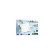 Oreiller Biotex Collection 65x65
