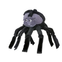 Beleduc Spider