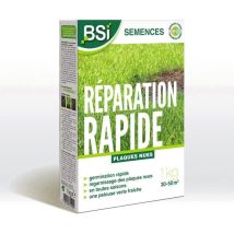 Semences De Gazon Réparation Rapide Avec Enrobage Protecteur Haute Qualité Jusqu'a 50m² 1kg