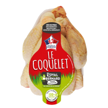 Royal Bernard Coq : Coquelets Royal