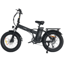 Windgoo F21 Pro 48v12.5ah Batterie 250w Moteur 20 Pouces Pneus Tout Terrain Pliant Vélo Électrique