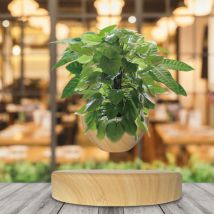 Mini-jardin En Lévitation Base Bois Clair Babylonia