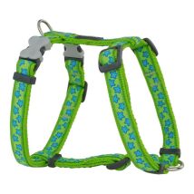 Harnais Pour Chien Red Dingo Style Turquoise Étoile Vert 46-76 Cm