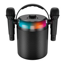 Karaoké Sans Fil 2 Micros Koolstar