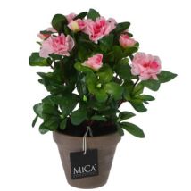 Azalée Artificielle Rose En Pot Céramique Edelman 27 X 20 Cm