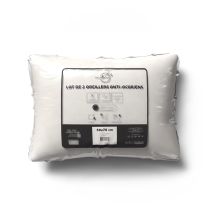 Lot De 2 Oreillers Anti-acarien 50x70 Cm, Par Intemporel