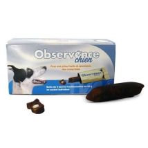 Observence Chien, 15 Boulettes