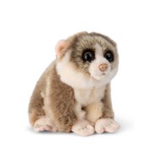 - Loris Le Paressauex Pygmee - 18cm