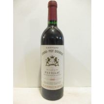Pauillac Château Grand Puy Ducasse Grand Cru Classé (b1) Rouge 1989 - Bordeaux