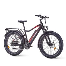 Jobobike Robin-e33 48v13ah Batterie 250w Moteur 26 Pouces Graisse Pneus Tout Terrain Vélo Électrique
