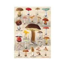 Dino Puzzle Mushroom Collage 1000 Pièces Puzzle Adultes