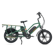 Vélo Cargo Électrique Familial Jobobike Transer, Capteur De Couple, Double Batterie 48 V 13 Ah, Vert