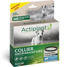 Actiplant Collier Antiparasitaire Noir Pour Chien Petit