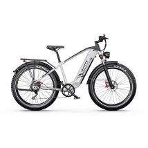 Vélo Électrique Duotts F26lite, Pneus Larges 26", 48 V, 18 Ah, Argent