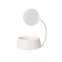 Sonde De Détection De Fuite D'eau - 20209900