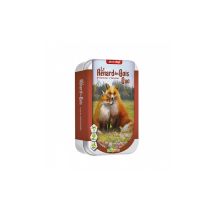 Jeu De Cartes Le Renard Des Bois Duo Boîte Métal Tons Terreux 63x88mm Origames
