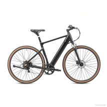Vélo Électrique Yangor H700, Capteur De Couple 36v 10,4ah 7 Vitesses, Gris
