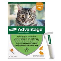 Advantage Anti-puces Chat & Lapin (< 4 Kg) - 4 Pipettes