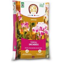 Terreau Orchidées - Obrtorc6u - 6l - Favorise La Croissance