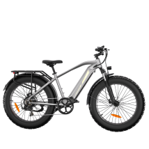 Vélo Électrique De Randonnée Bodywel D6, Fatbike, 48 V 15 Ah, Gris