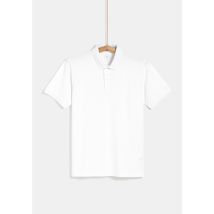 Polo Homme Blanc L Tex