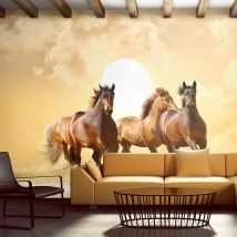 Papier Peint Chevaux Au Galop - 350 X 270 Cm