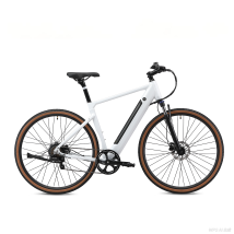 Vélo Électrique Yangor H700, Capteur De Couple 36v 10,4ah 7 Vitesses, Blanc