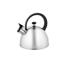 Bouilloire Florina Brillo 2,5l Acier Inoxydable Avec Couvercle Amovible