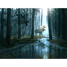 Sunsout Puzzle Xxl Caught By Light 300 Pièces Jeu De Puzzle