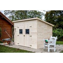 Abri De Jardin Mono Pente 3x2,20m À Montage Rapide