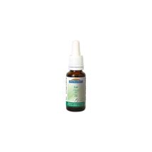 Elixir 22 Chene Bio - 20 Ml - Biofloral