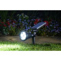 Spot Lumi 70l, Mail Order