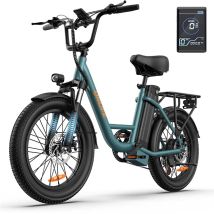 Urlife E20 Vélo Électrique Vert 500w Puissance Du Moteur 48v13ah Capacité De La Batterie Pour Les Adolescents Adultes