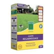Gazon Regarnissage Terrain Sec 1 Kg - 40 M² Résistant Et Durable