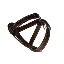 Harnais Chest Plate Ezydog Taille Xl