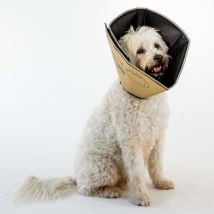 Collier Animaux De Compagnie Comfy Cone S 14 Cm Brun All Four Paws