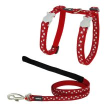 Harnais Pour Chat Red Dingo Style Rouge Étoile Blanc Sangle