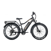 Vélo Électrique Jobobike Robin Pro, Batterie Lg 48 V 20 Ah, Fat Bike 26", Noir Et Or